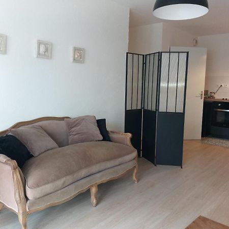 Le Savoie Appartement 2 Chambres 3 Couchages ,Balcon Et Parking Prive Bellegarde-sur-Valserine Exterior foto